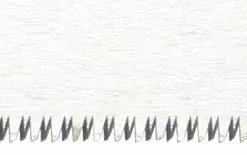 Extra Blade Only For : Tuck In 240 Professional Folding Kataba Saw TUCKIN With Extra Fine Blade 240 Mm - Carpentry & Cabinet Making -tools Sales Shop 240Fine5