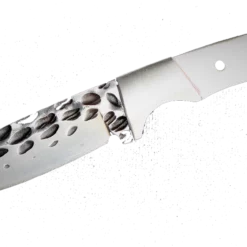 Son Of Shark Hammered