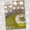 Artistâ€™s Vinyl Stencils - Sycamore Leaves Stencils -tools Sales Shop SycamoreThumb c702cf24 ee41 4361 a1b8 aaf948c73447