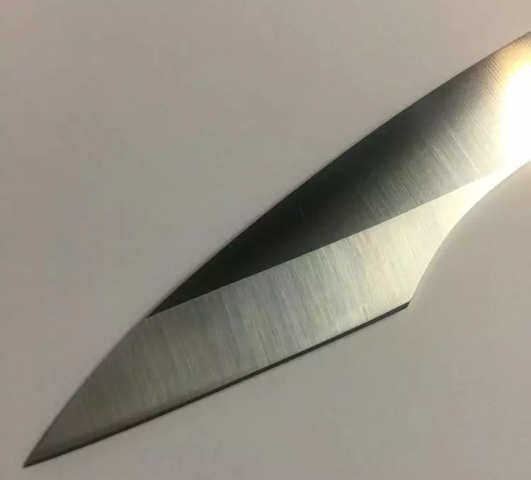 ZEN Skinner 2 ZEN Skinner - Image 2