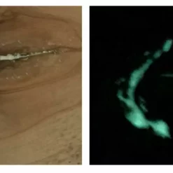 Jimmy Clewes Glow Powders (Glow In The Dark Fill Material.) -tools Sales Shop glocombo JPEG