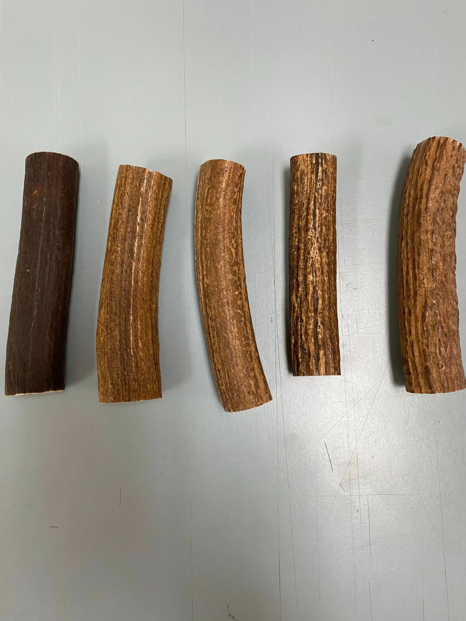 Sambar Stag Rounds 2 Sambar Stag Rounds - Image 2