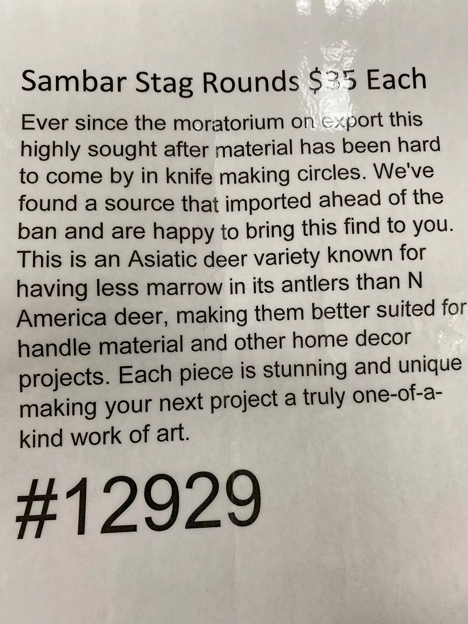 Sambar Stag Rounds 3 Sambar Stag Rounds - Image 3