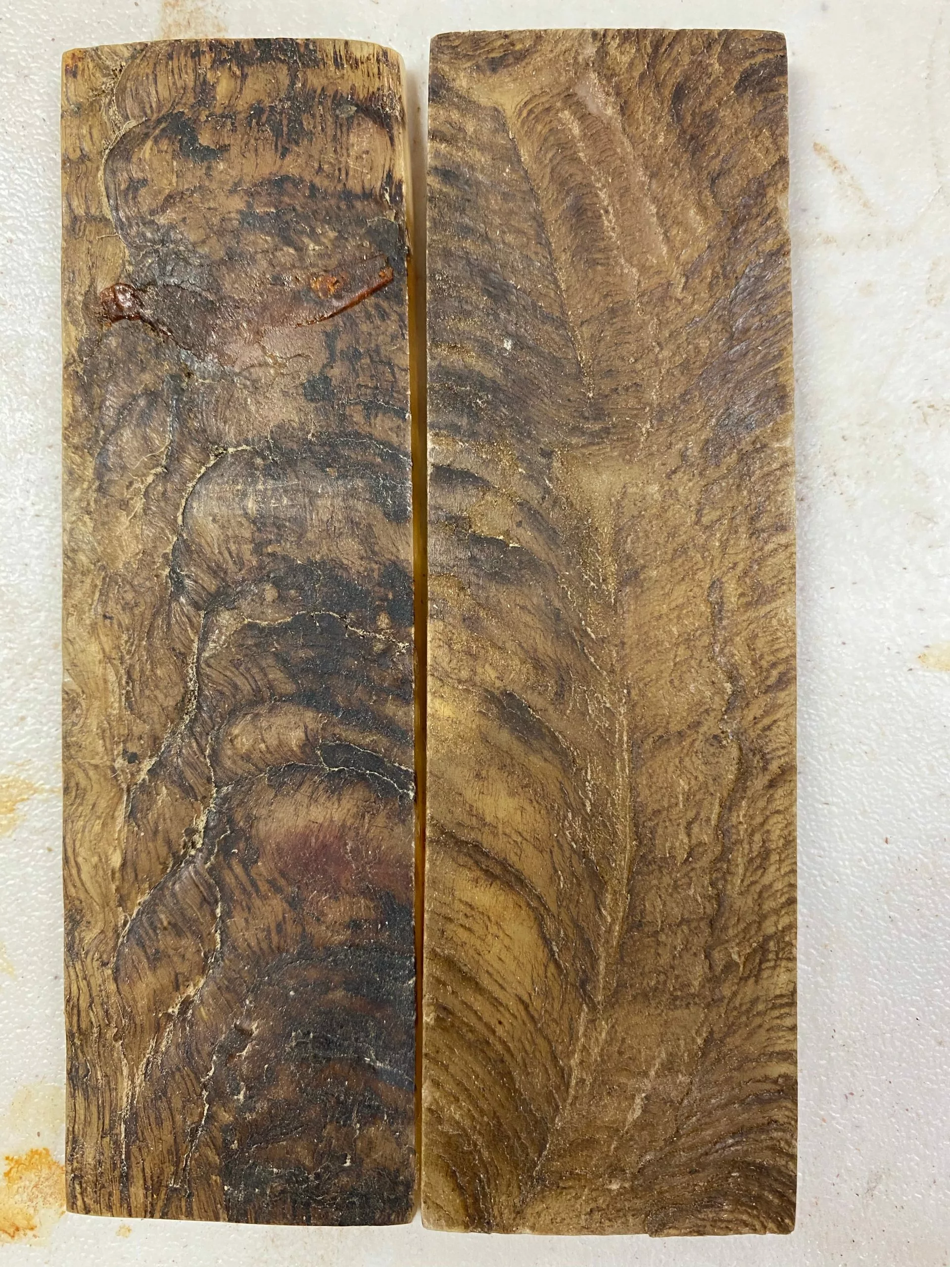 Himalayan Ram Horn Knife Scales 3 Himalayan Ram Horn Knife Scales - Image 3